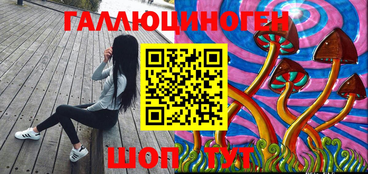 Галлюциногенные грибы Psilocybe Надым